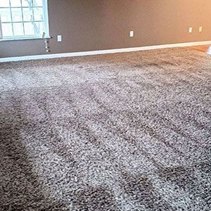Empty carpeted living room with brown walls, white trim, and a window on the left.