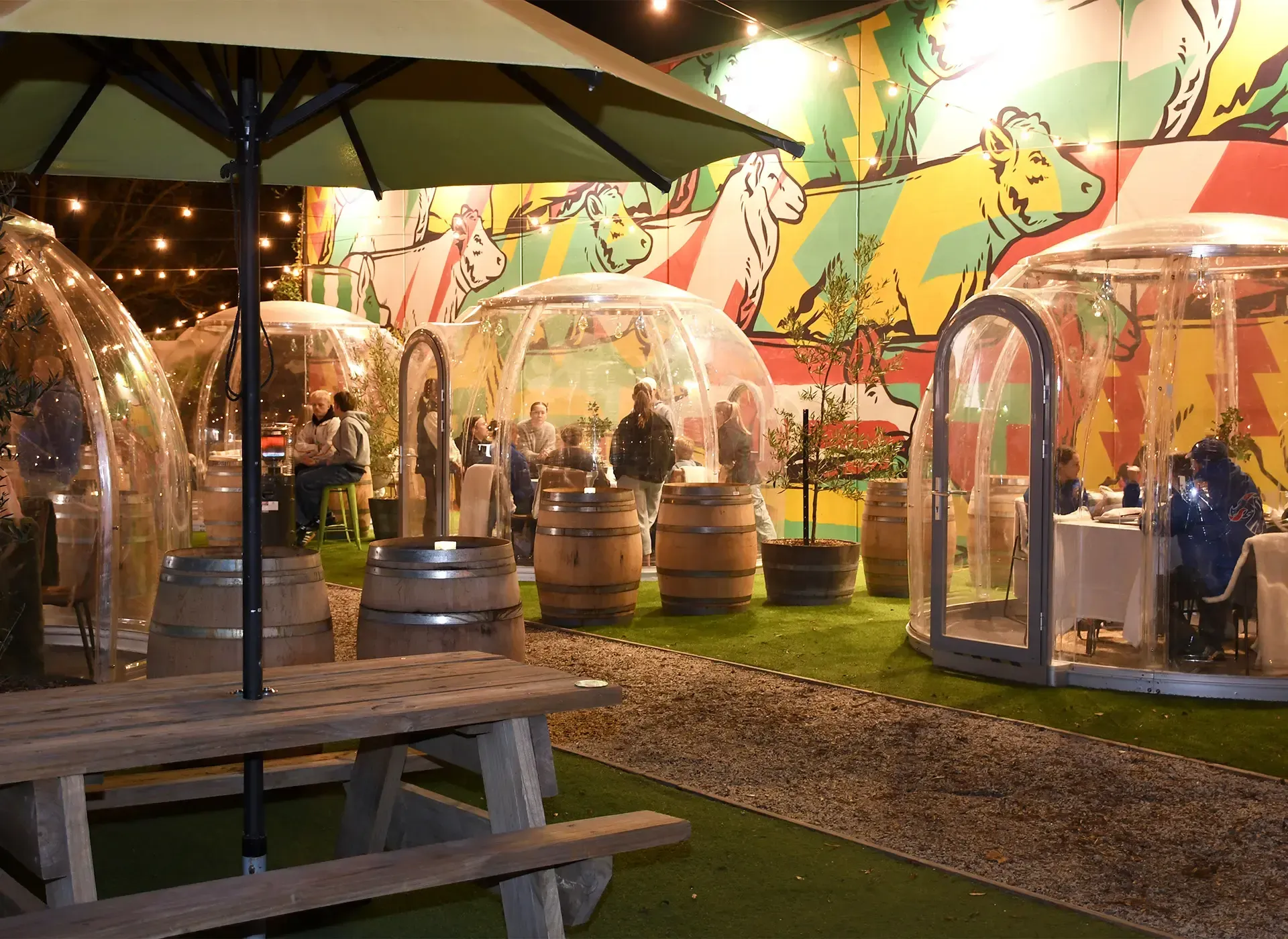 The Market Hotel Ballarat - Winter Igloos Book Now