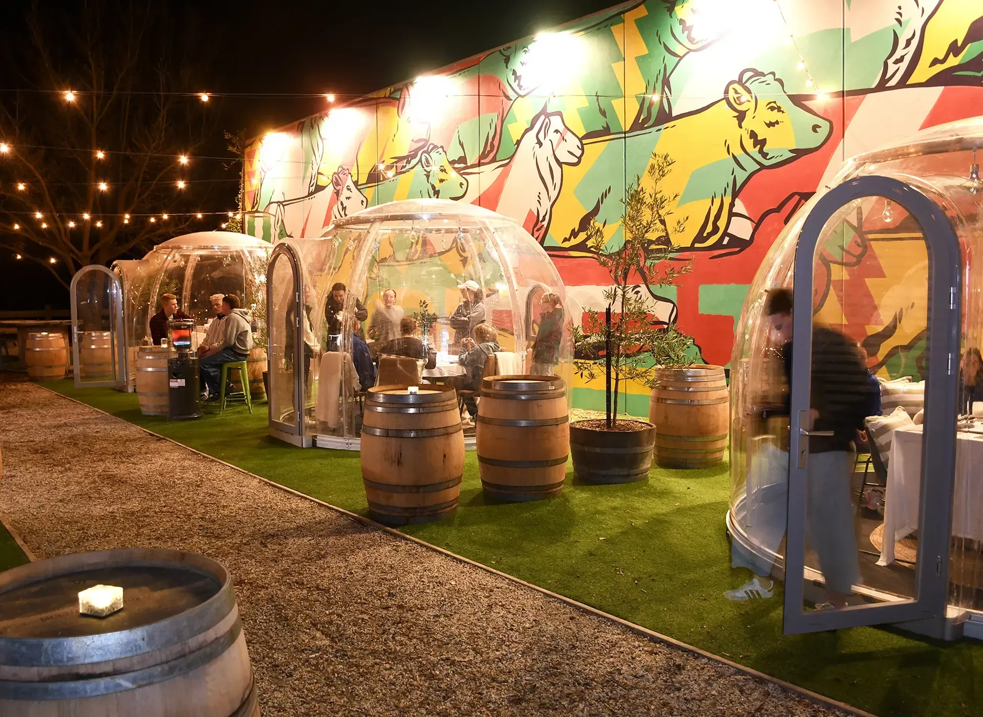 The Market Hotel Ballarat - Winter Igloos Book Now