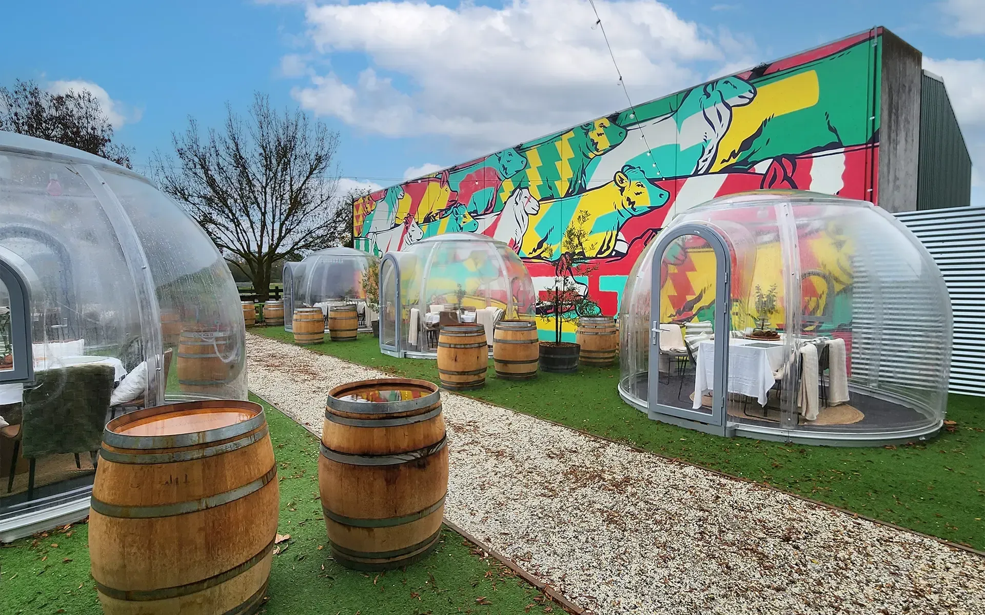 The Market Hotel Ballarat - Winter Igloos Book Now