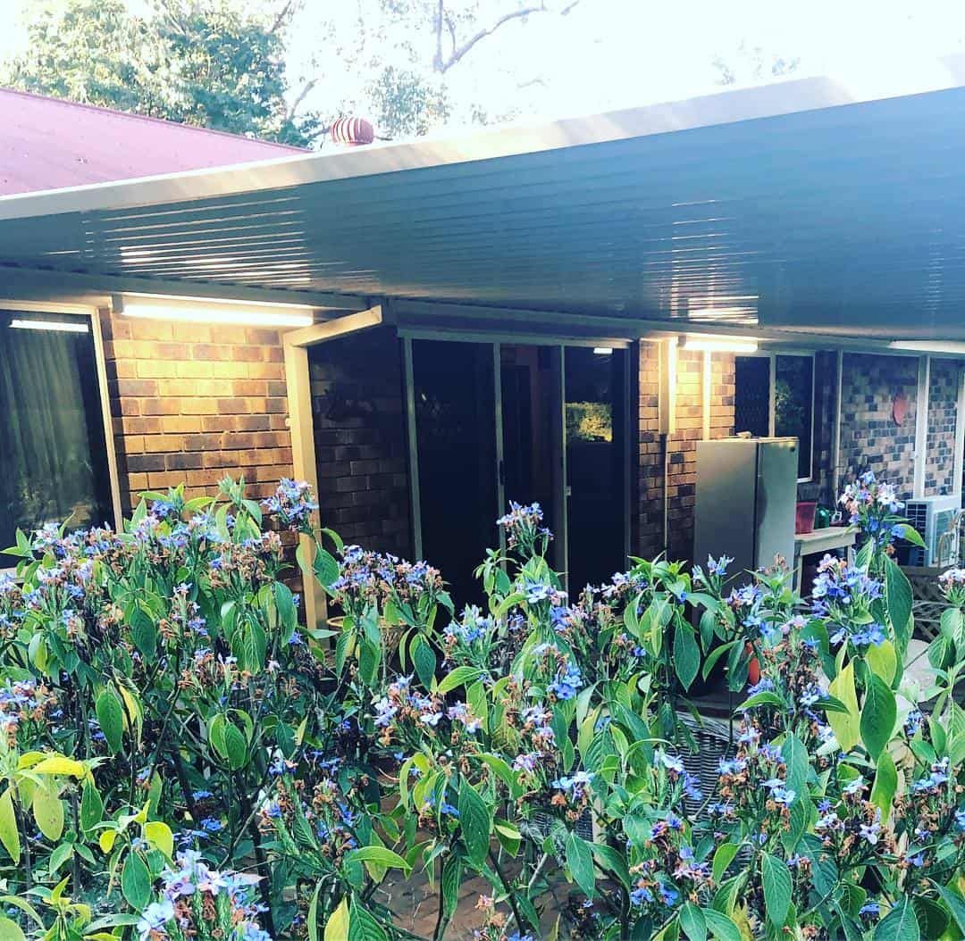 A House with A Lot of Flowers in Front of It — Higgins Electrical in Beerwah, QLD
