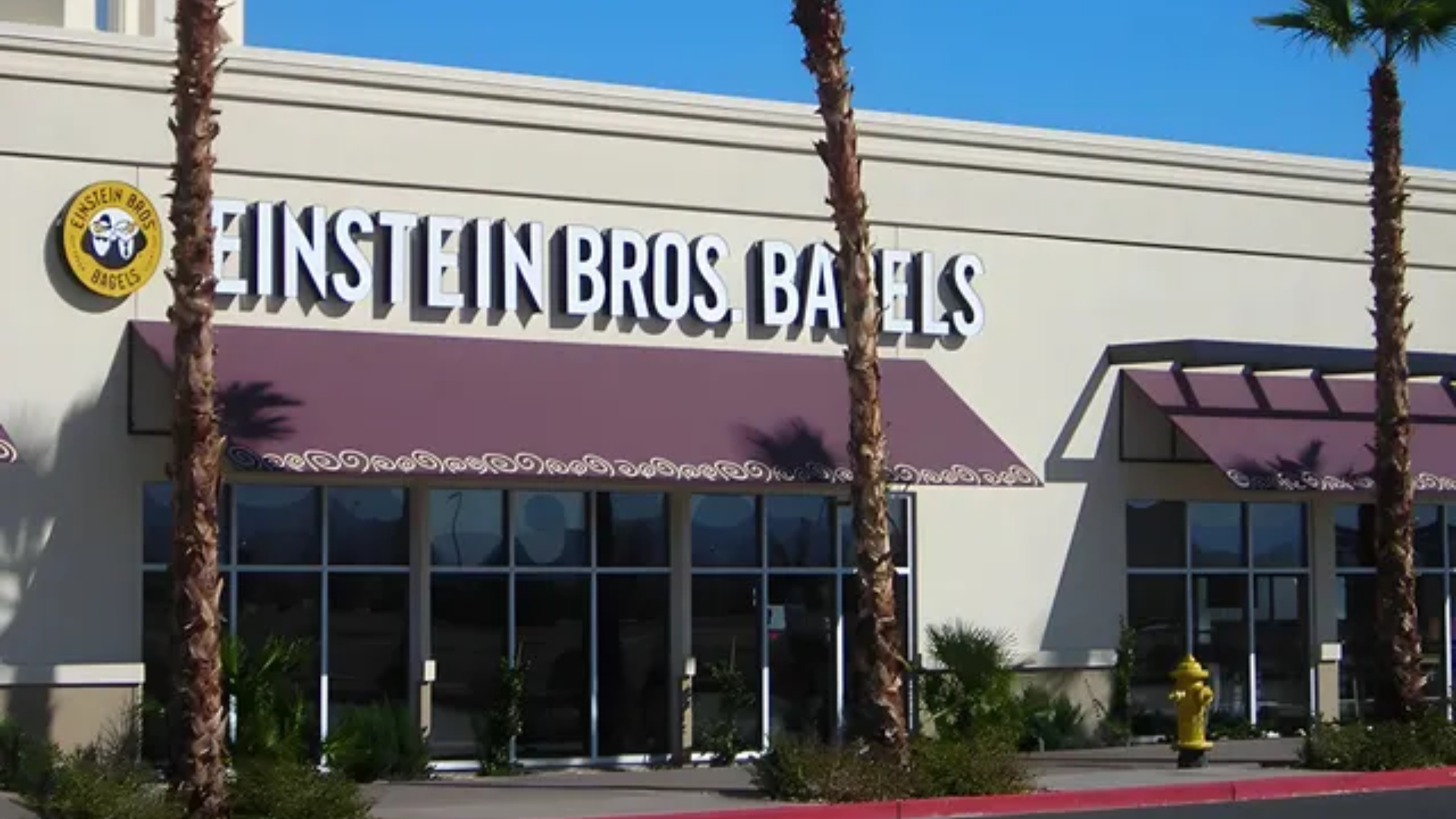 Einstein Bros. Bagels storefront with purple awnings and glass entrance on a sunny street