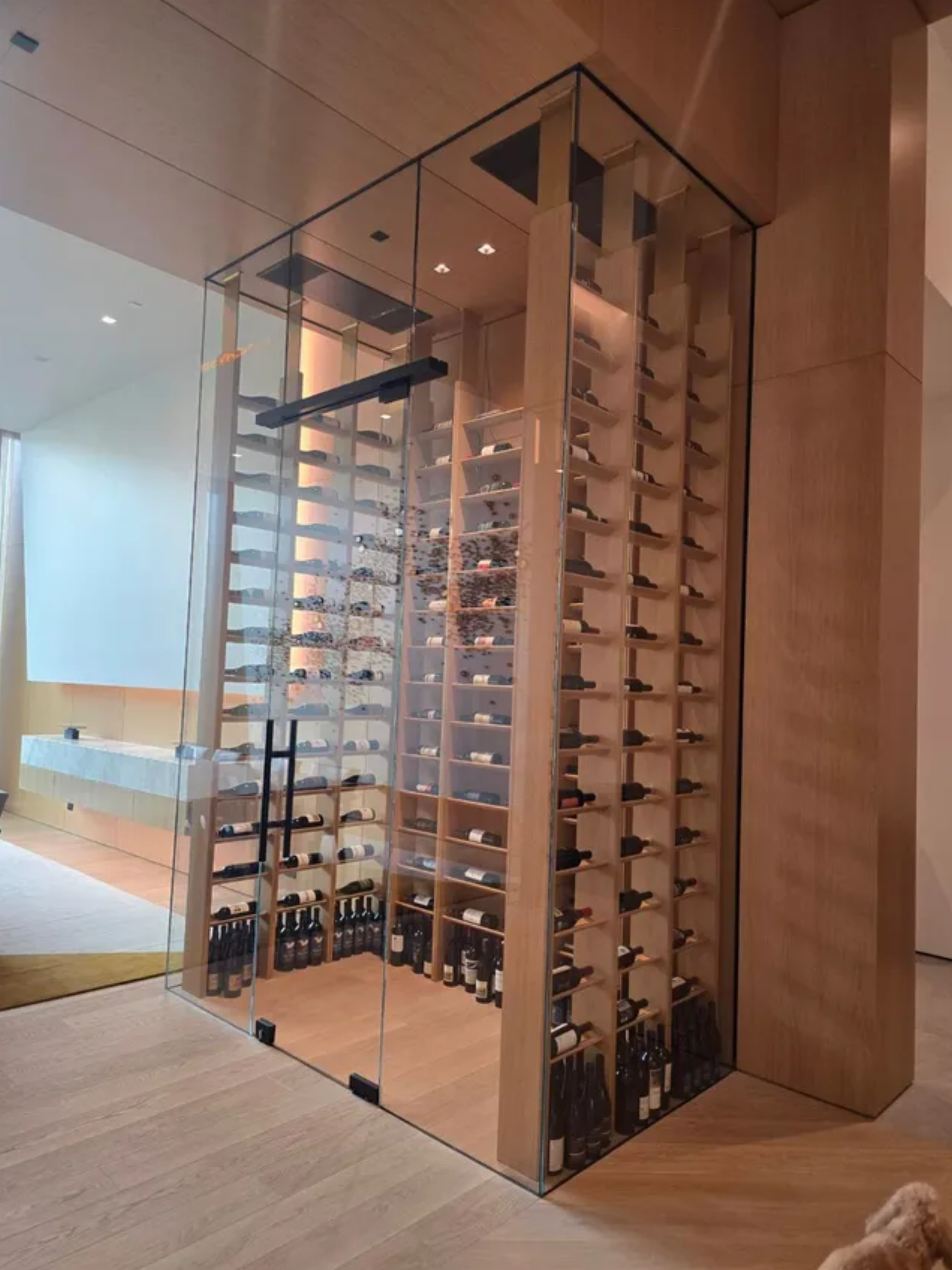Glass wine display cabinet in a modern hallway, filled with rows of bottles against warm wood walls