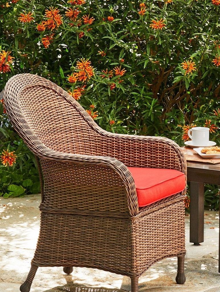 A chair in a beautiful ackard