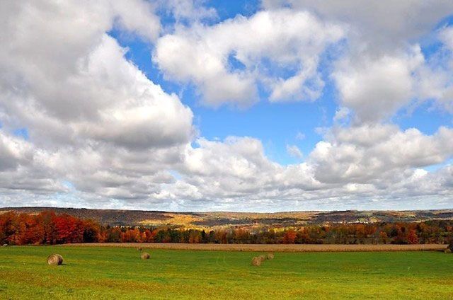 countryside