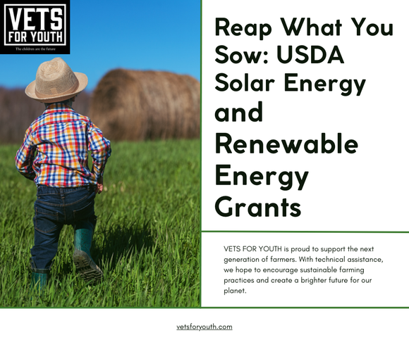 Technical assistance for Solar Reap Grant , Technical Assistance available
