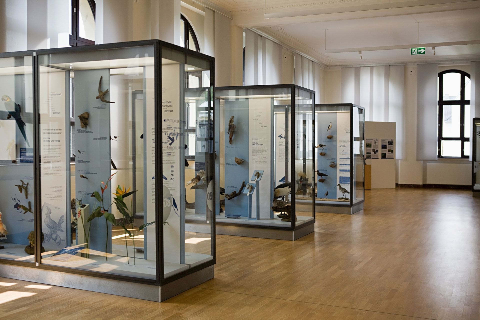 A museum filled with lots of glass display cases