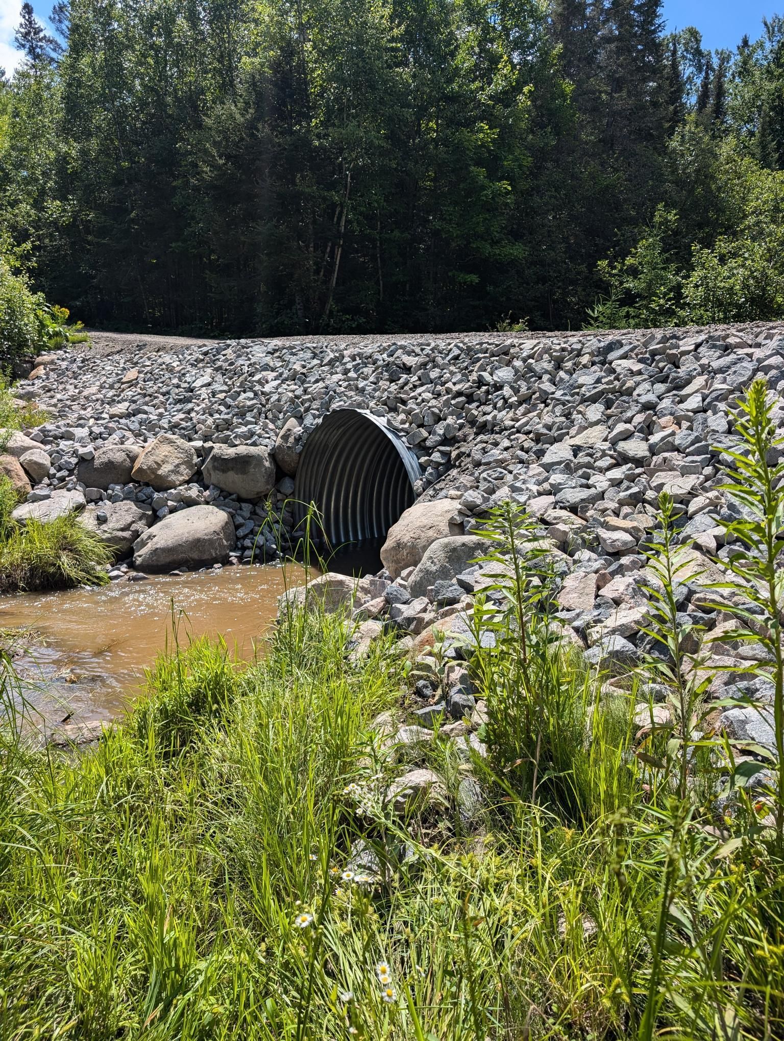 Un ponceau en tôle ondulée passe sous un chemin de gravier, traversé par un petit ruisseau et entouré de végétation verte.