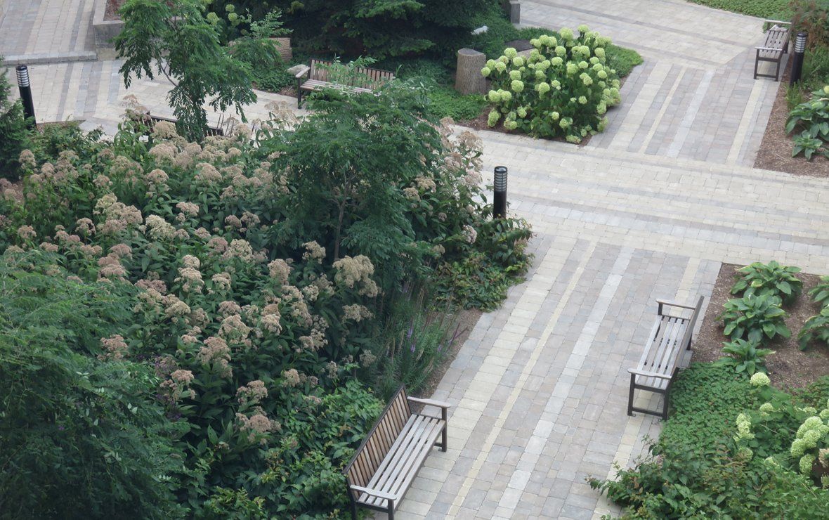 JANE'S COURTYARD - WU