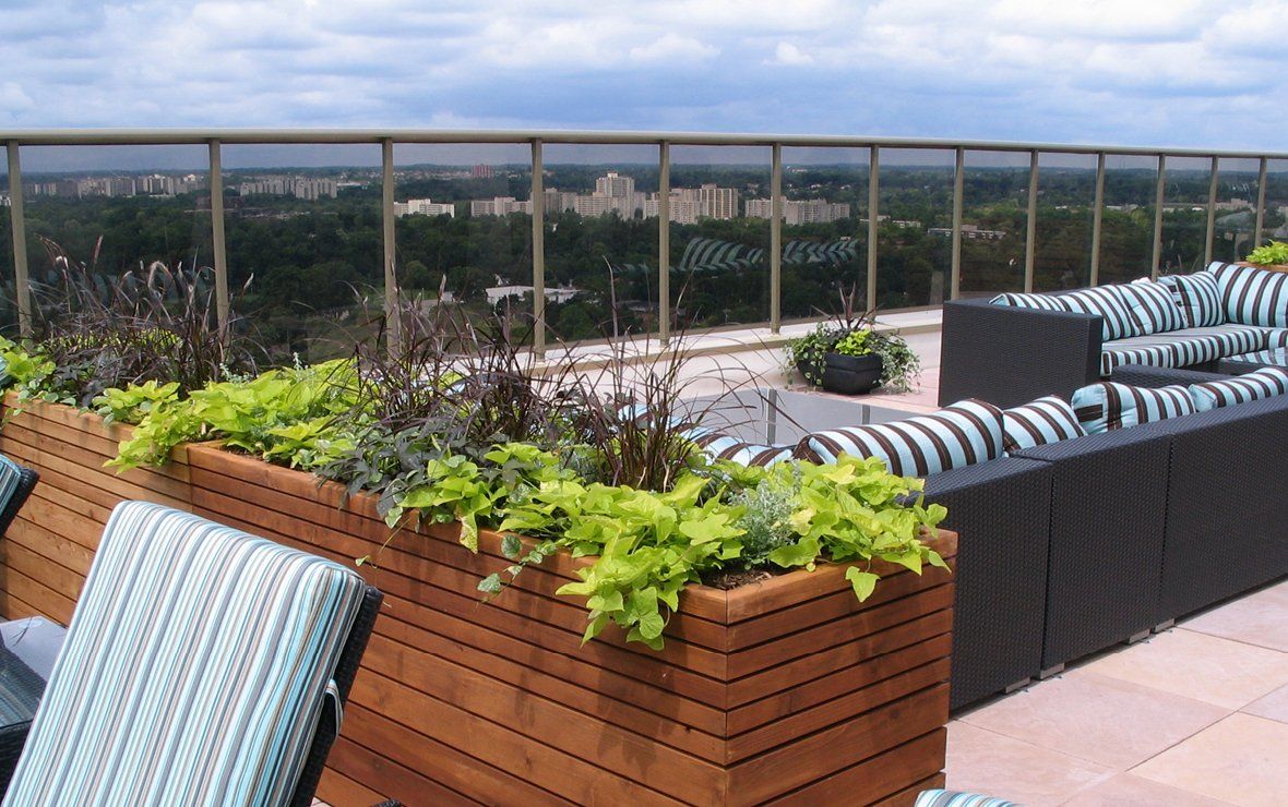 THE HARRISTON TERRACE
