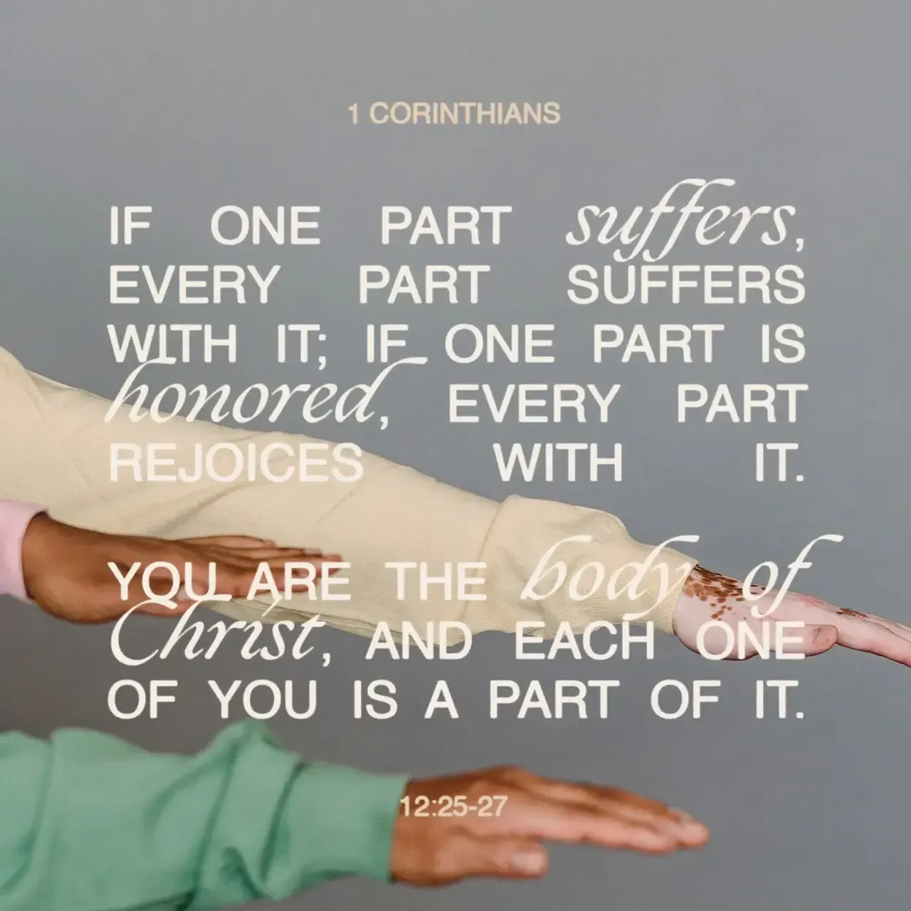 A bible verse that says if one part suffers every part suffers with it