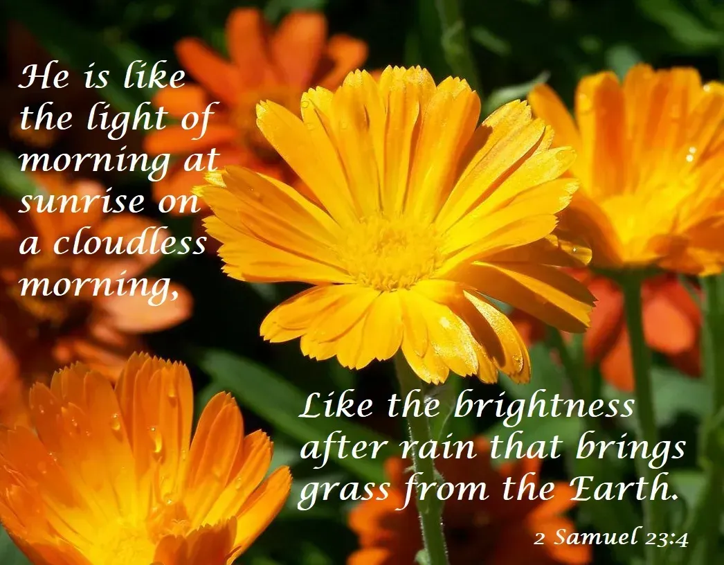 A picture of flowers with a quote from 2 samuel