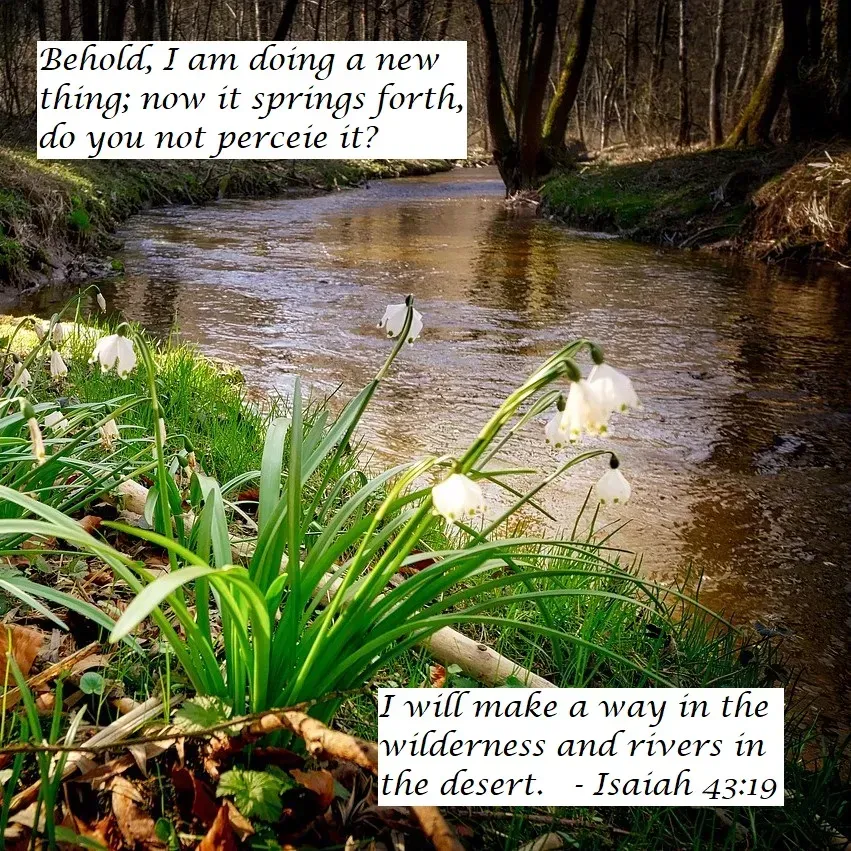 A picture of a river with flowers and a bible verse