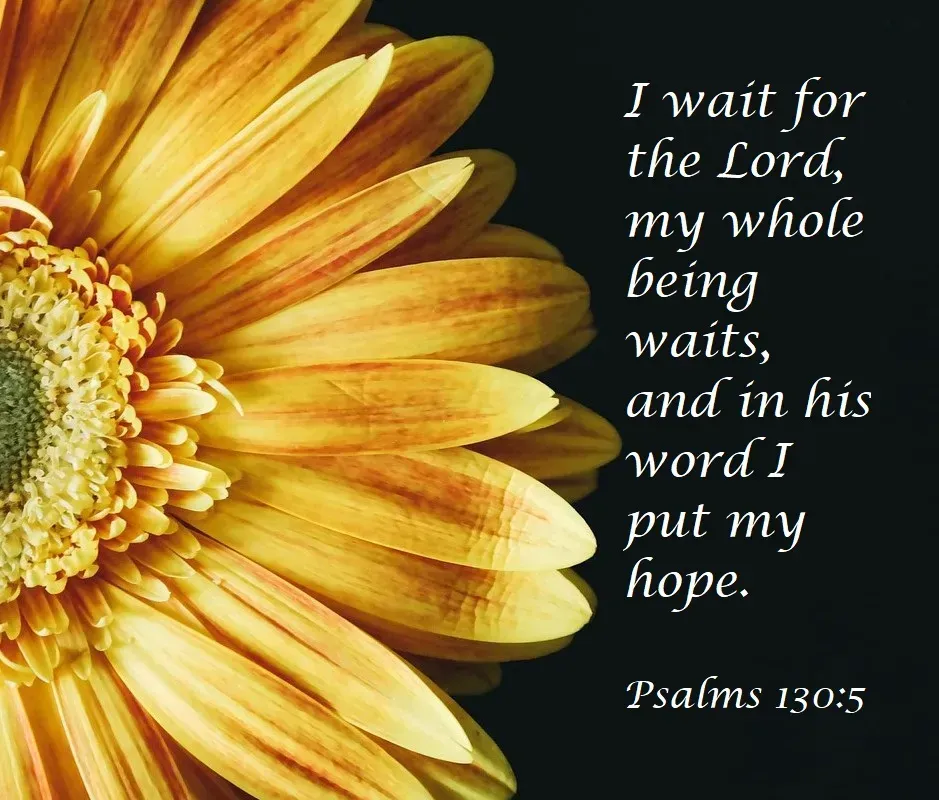 A yellow flower with a quote from psalms 130