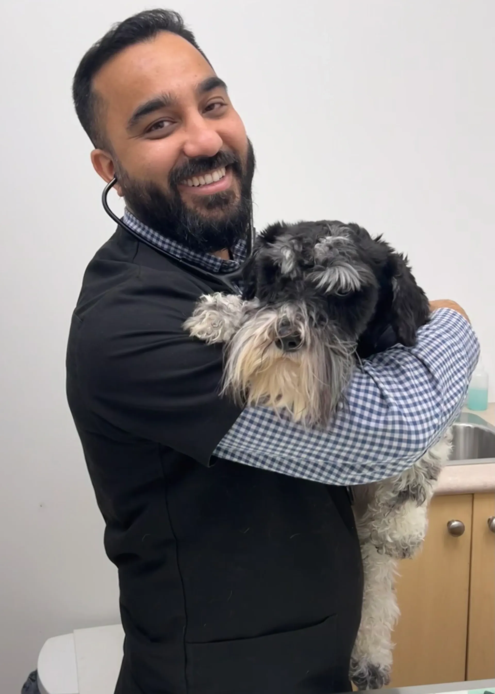 dog rabies booster and checkup at gentle vet in White Rock, BC