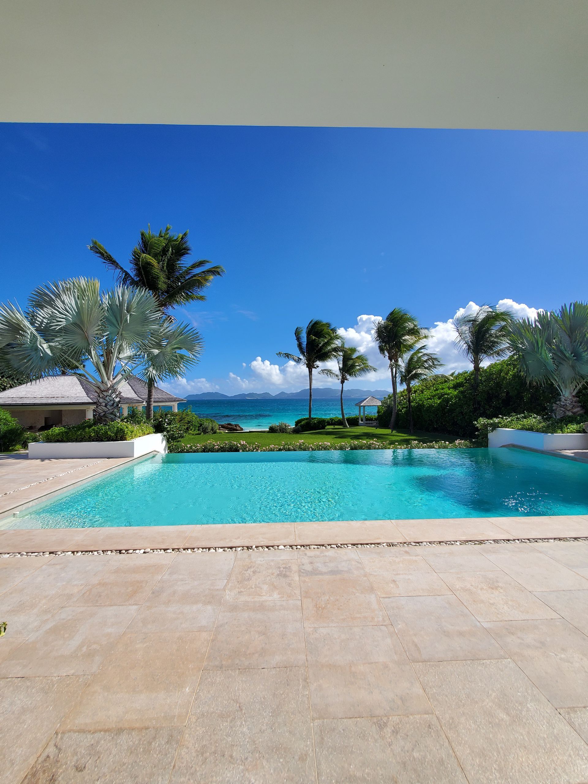 Swimming pool overlooking ocean under a blue sky, surrounded by palm trees and greenery.