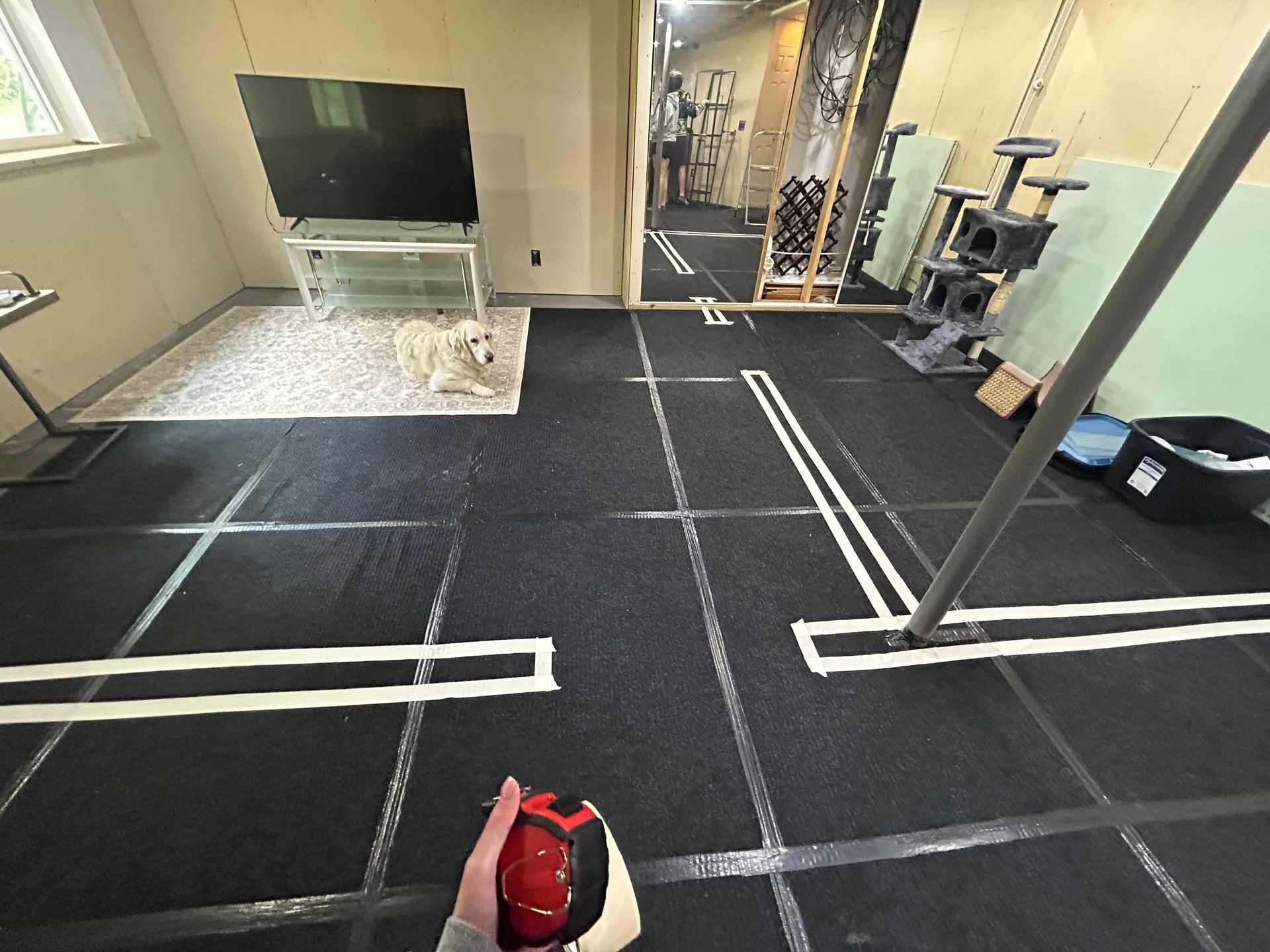 living room space with black mat with white lines. A room with a TV and cat tree is in the background.