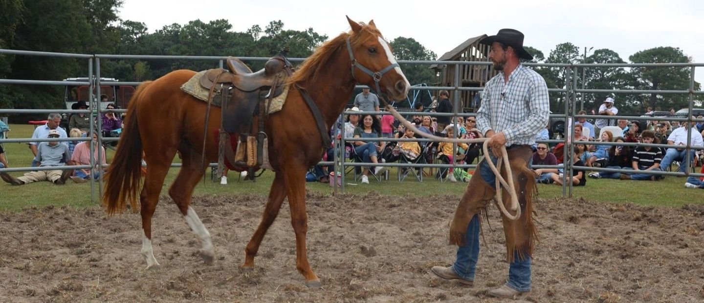 man taming a horse