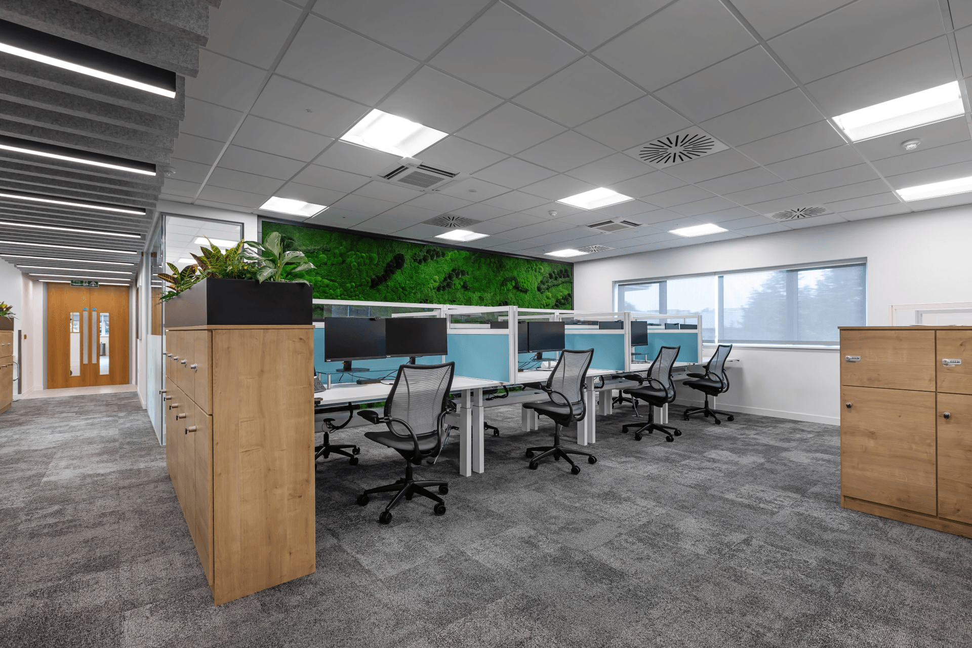 Biophilic office design