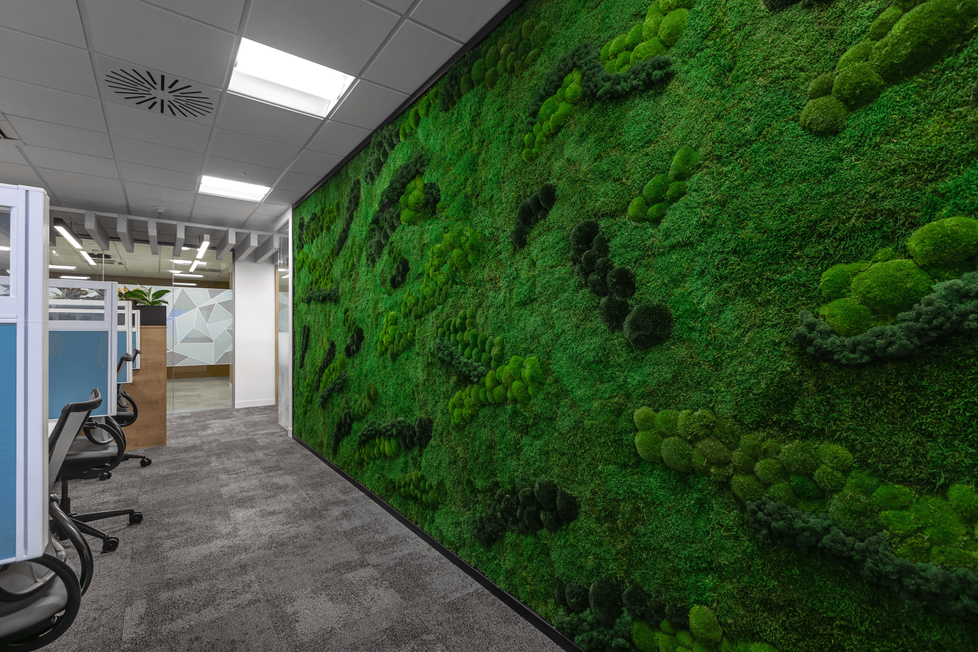There is a large green wall in the middle of the room.
