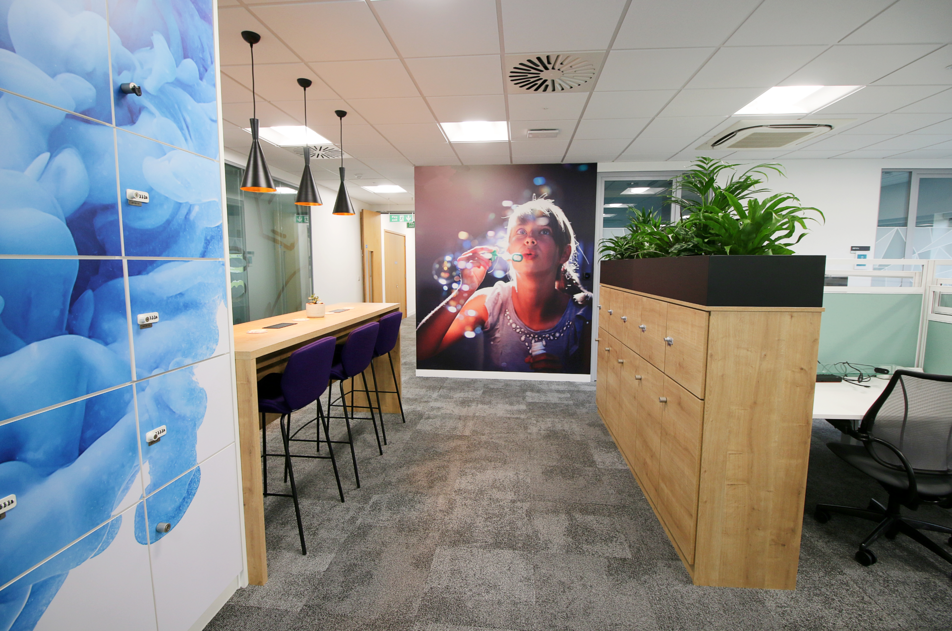 Biophilic office design