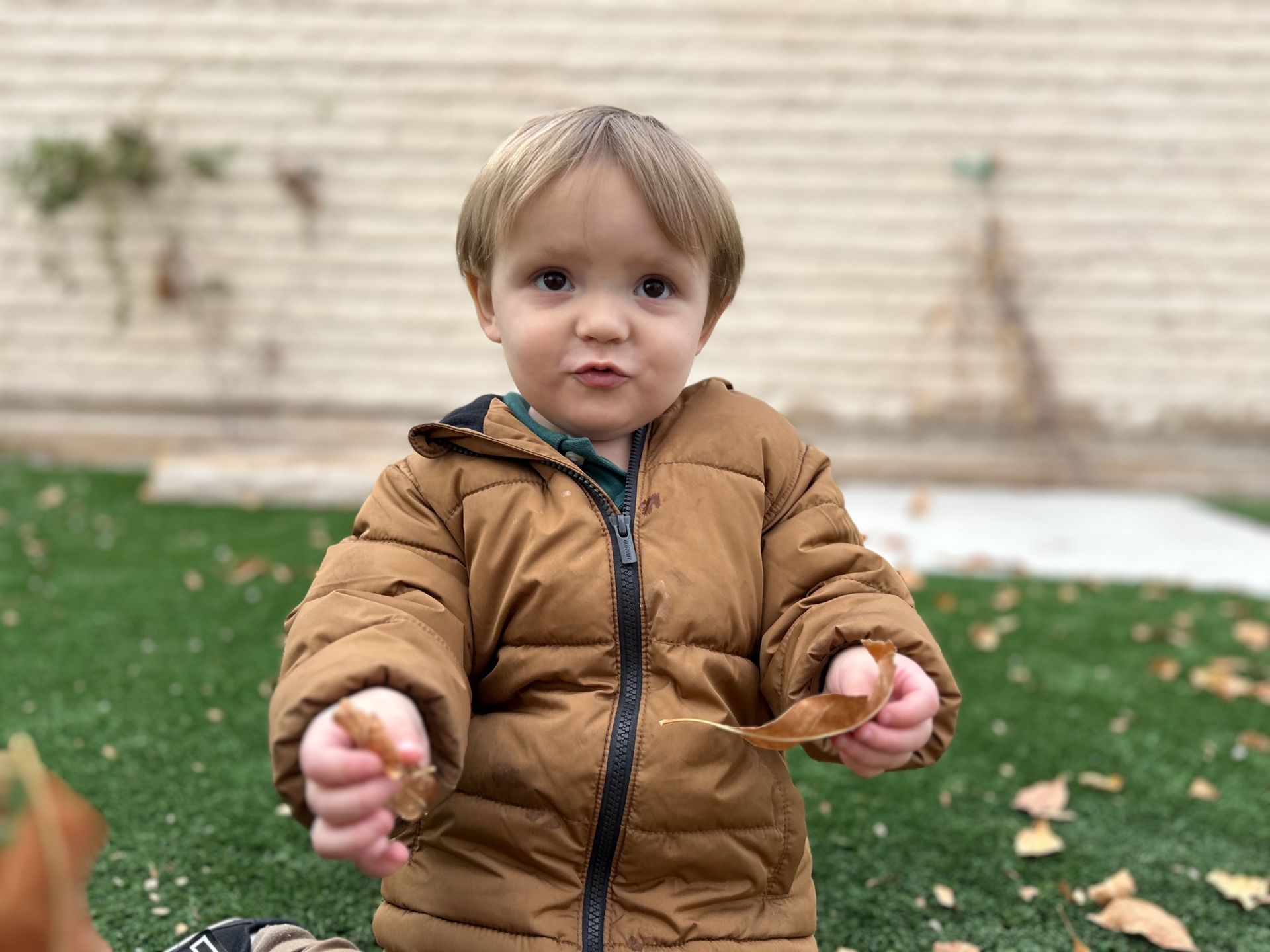 A little boy in a brown jacket is holding a leaf in his hands.