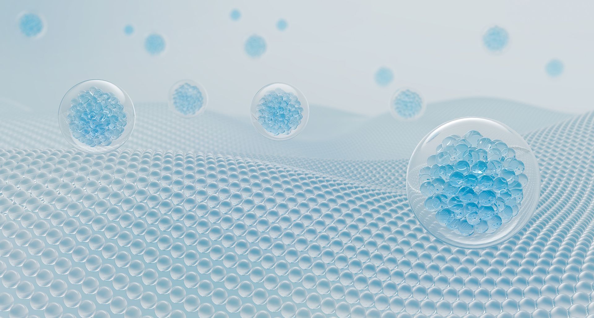 WHARTON’S JELLY & EXOSOMES
