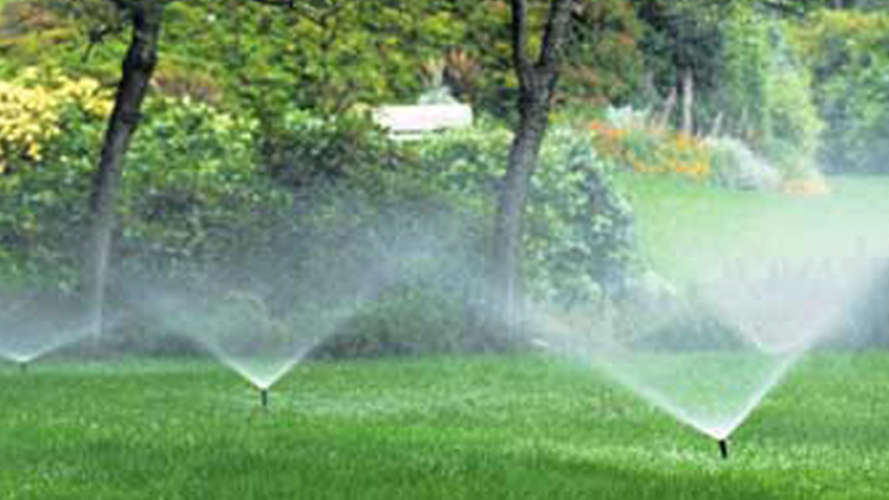 Sprinklers spraying water on a green lawn in a garden with trees and bushes in Wilmington, NC.
