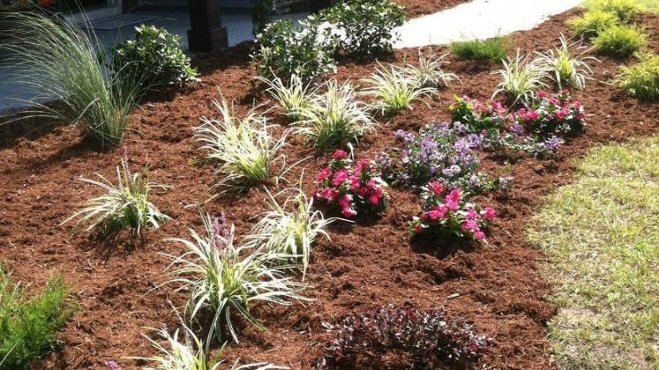 Flowerbed with various green and pink flowering plants and light brown mulch in Wilmington, NC.