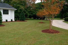A white shed is sitting in the middle of a lush green lawn next to a tree.