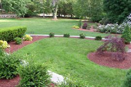 A lush green lawn surrounded by trees and bushes.