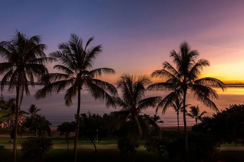 A Sunset Over the Ocean with Palm Trees in The Foreground — T.N. Locke Communications In Townsville, QLD
