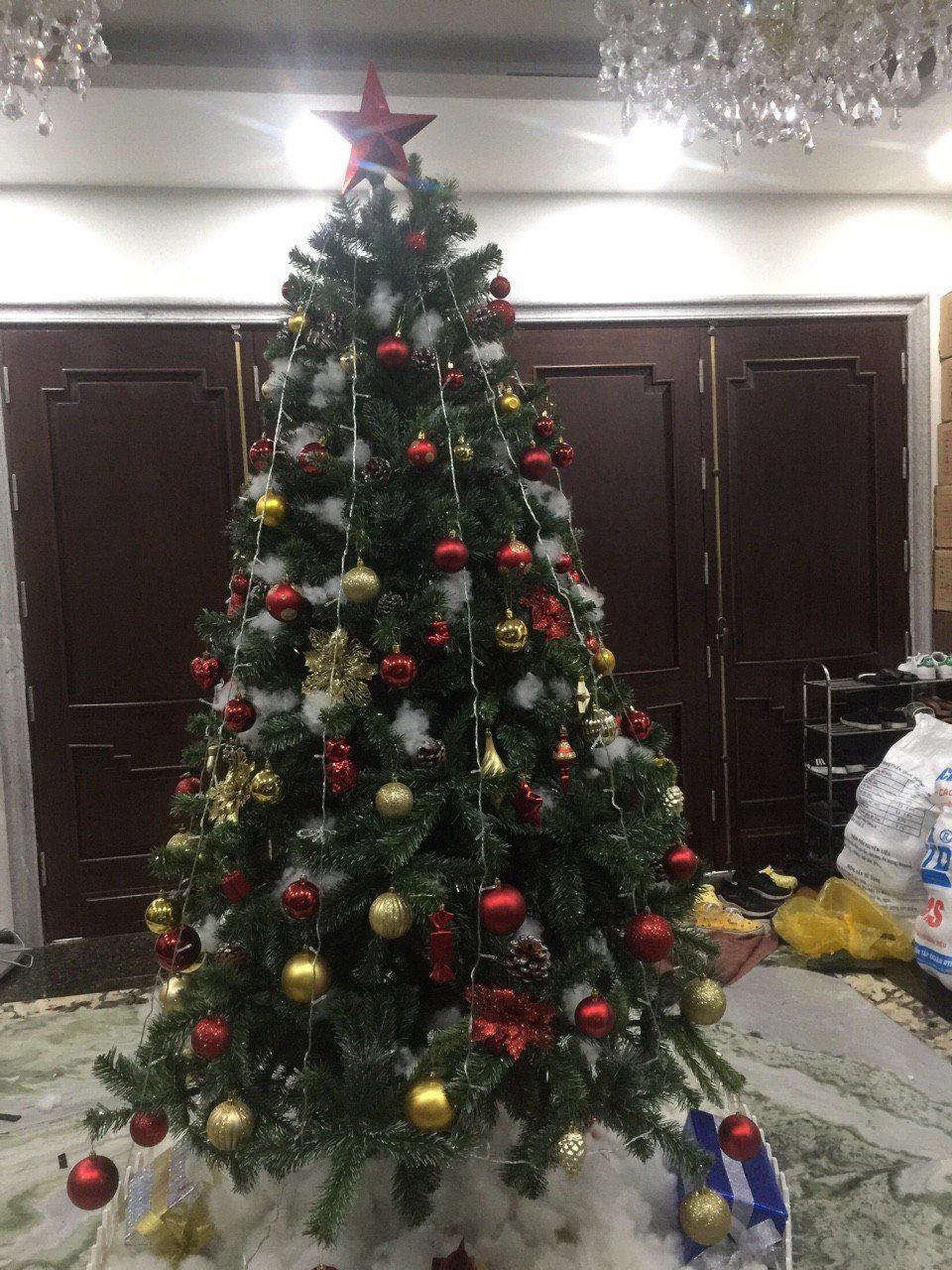 Cho thuê cây thông noel