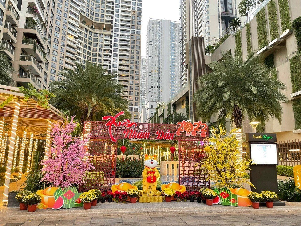 Trang trí tết chọn gói đô thị