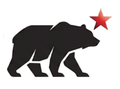 BR Bear icon