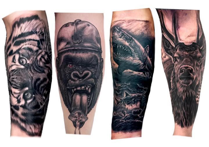 Four Black-and-gray Animal Tattoo Designs on Forearms — Tattoo Inc Studio In Broadbeach, QLD