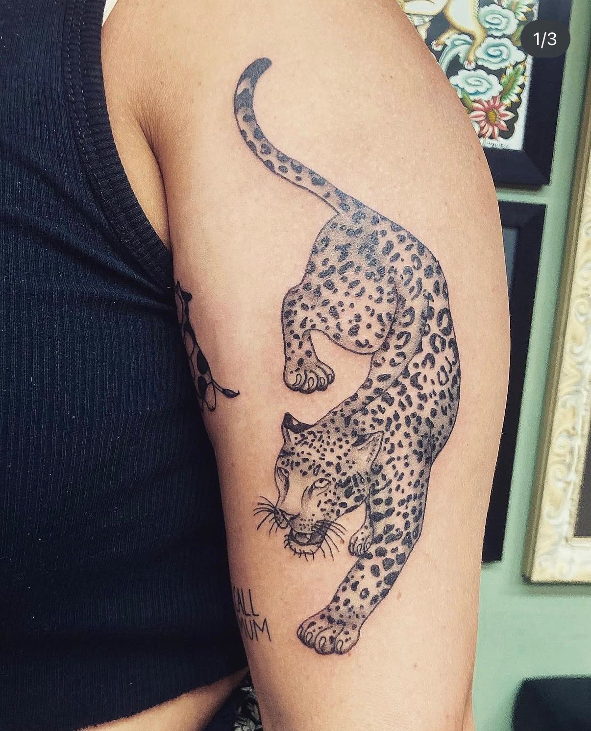 Tattoo of a Spotted Big Cat Climbing on a Person's Upper Arm — Tattoo Inc Studio In Broadbeach, QLD