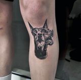 Black-and-gray Doberman Tattoo — Tattoo Inc Studio In Broadbeach, QLD