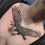 Black Bird Tattoo With Wings Spread — Tattoo Inc Studio In Broadbeach, QLD