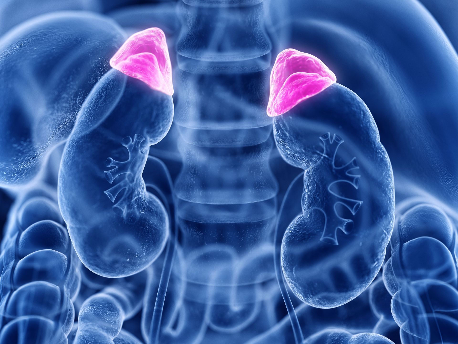 insuficiência adrenal