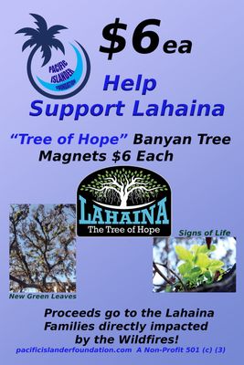 Tree of Hope Magnet