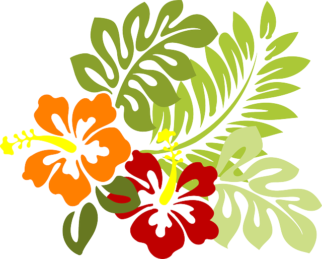 Pacific Islander Foundation fundraising events Pacific Islander Foundation fundraising events