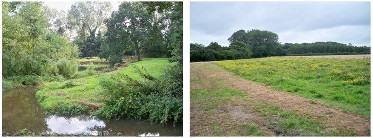 Hunkington Moat