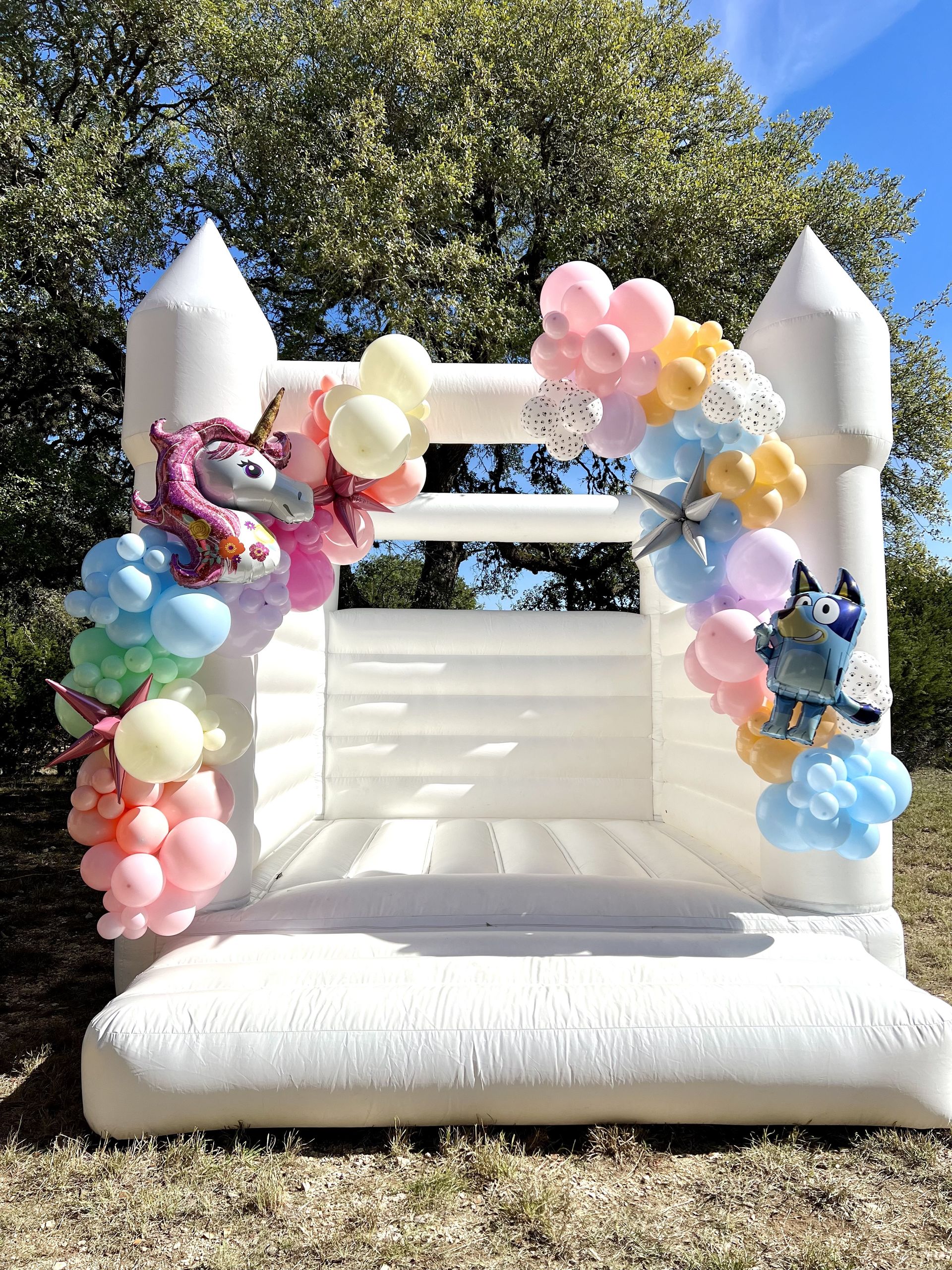 Home Balloons By Beth San Antonio, TX