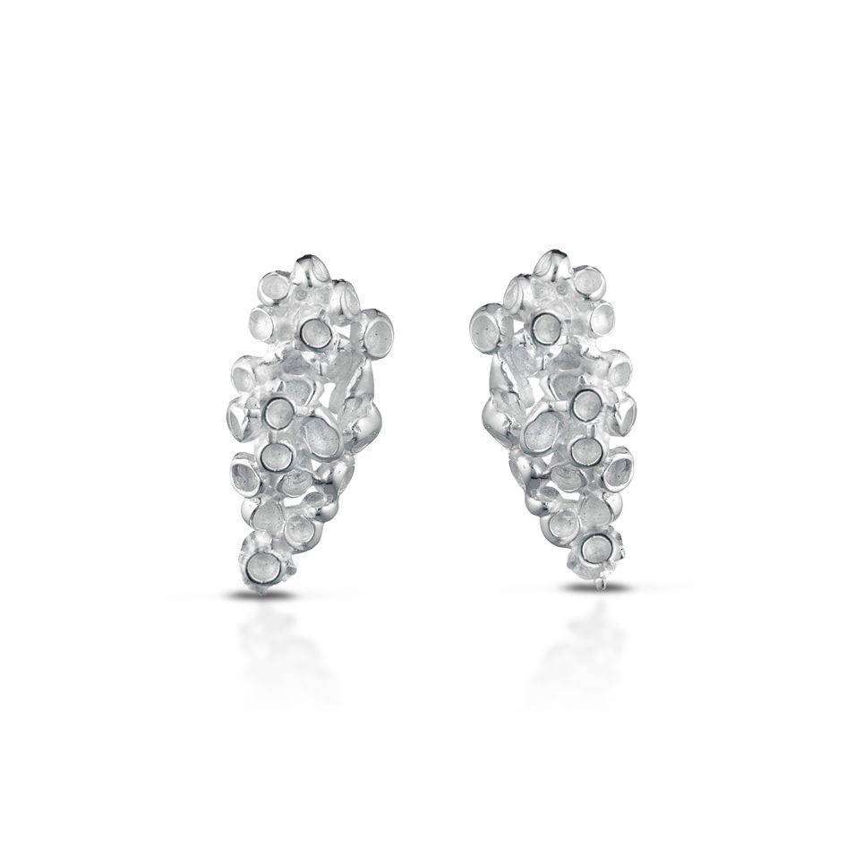 Orecchini in argento