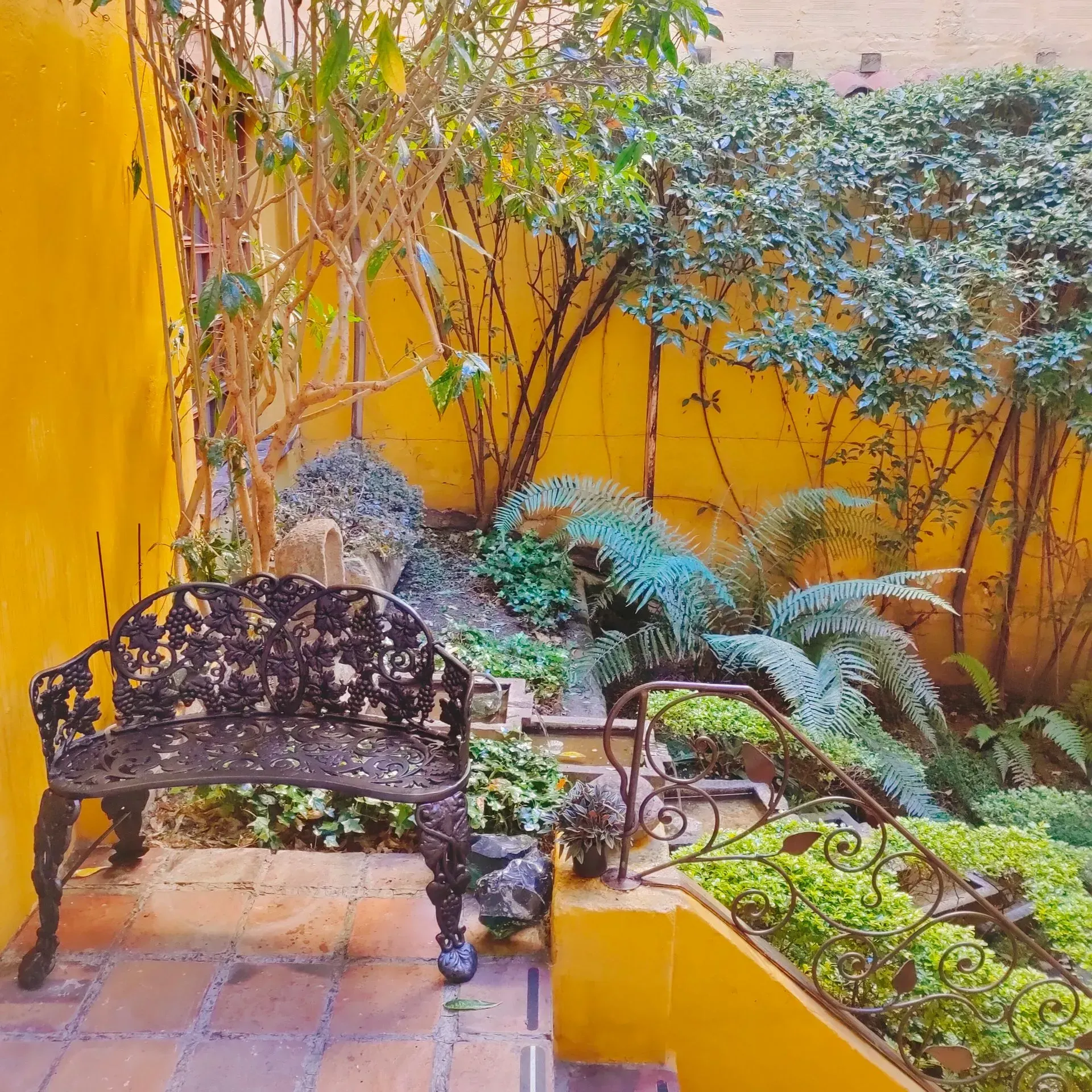 A garden with a yellow wall and a black bench