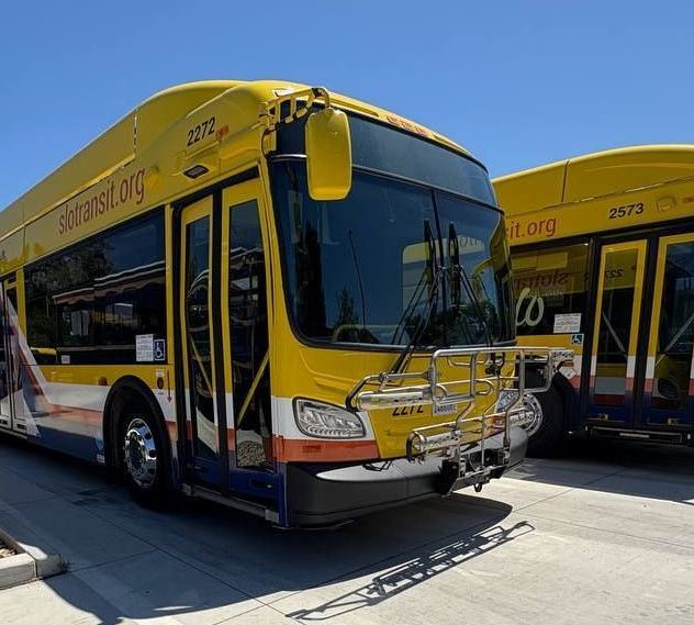 Yellow city buses parked at a curb under a clear blue sky