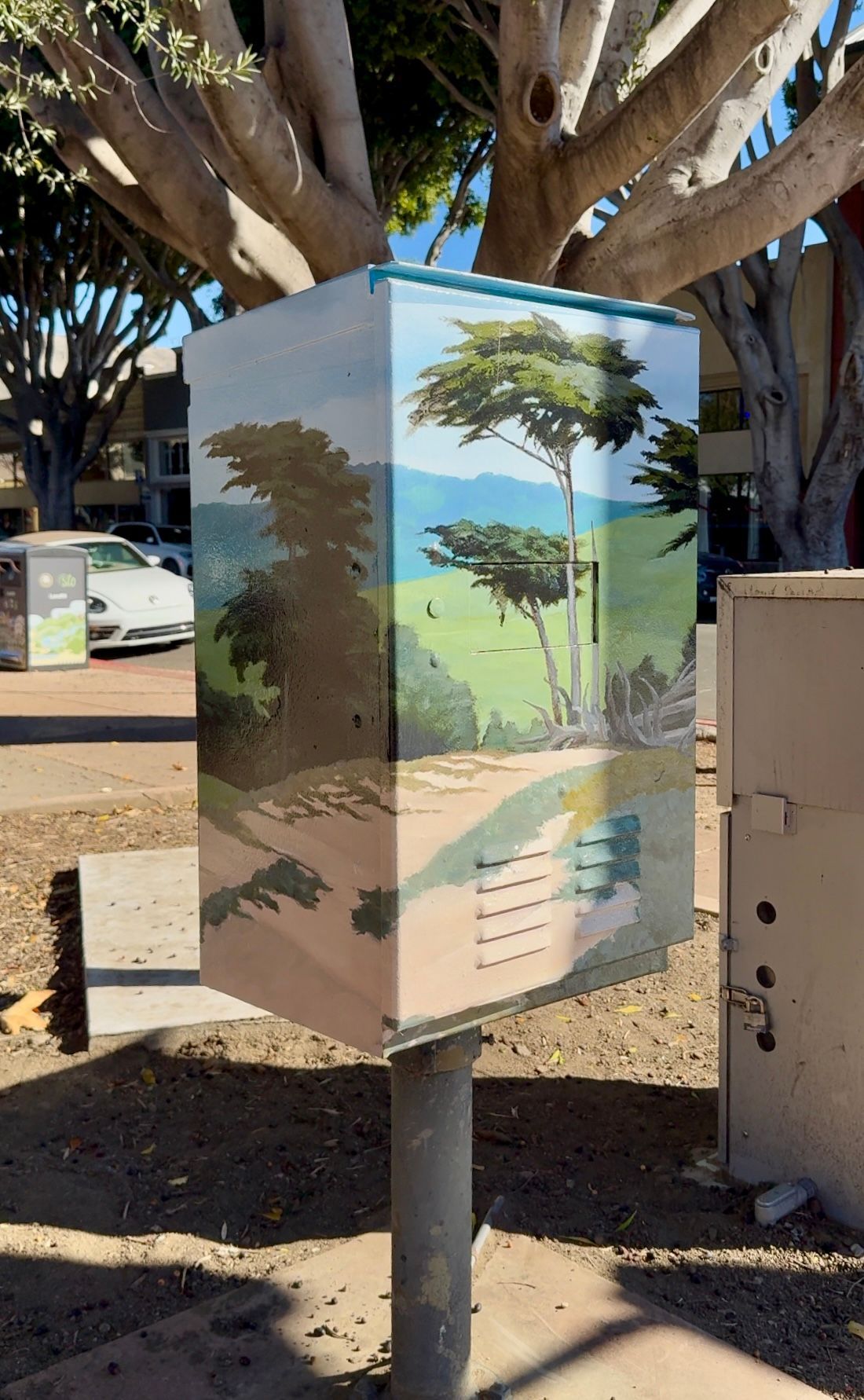 Illustrated utility box with a desert landscape mural beside a tree on a sidewalk