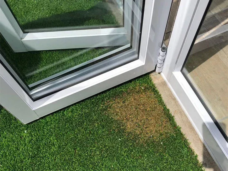 Corner of a white-framed glass patio door over green turf with a brown worn patch