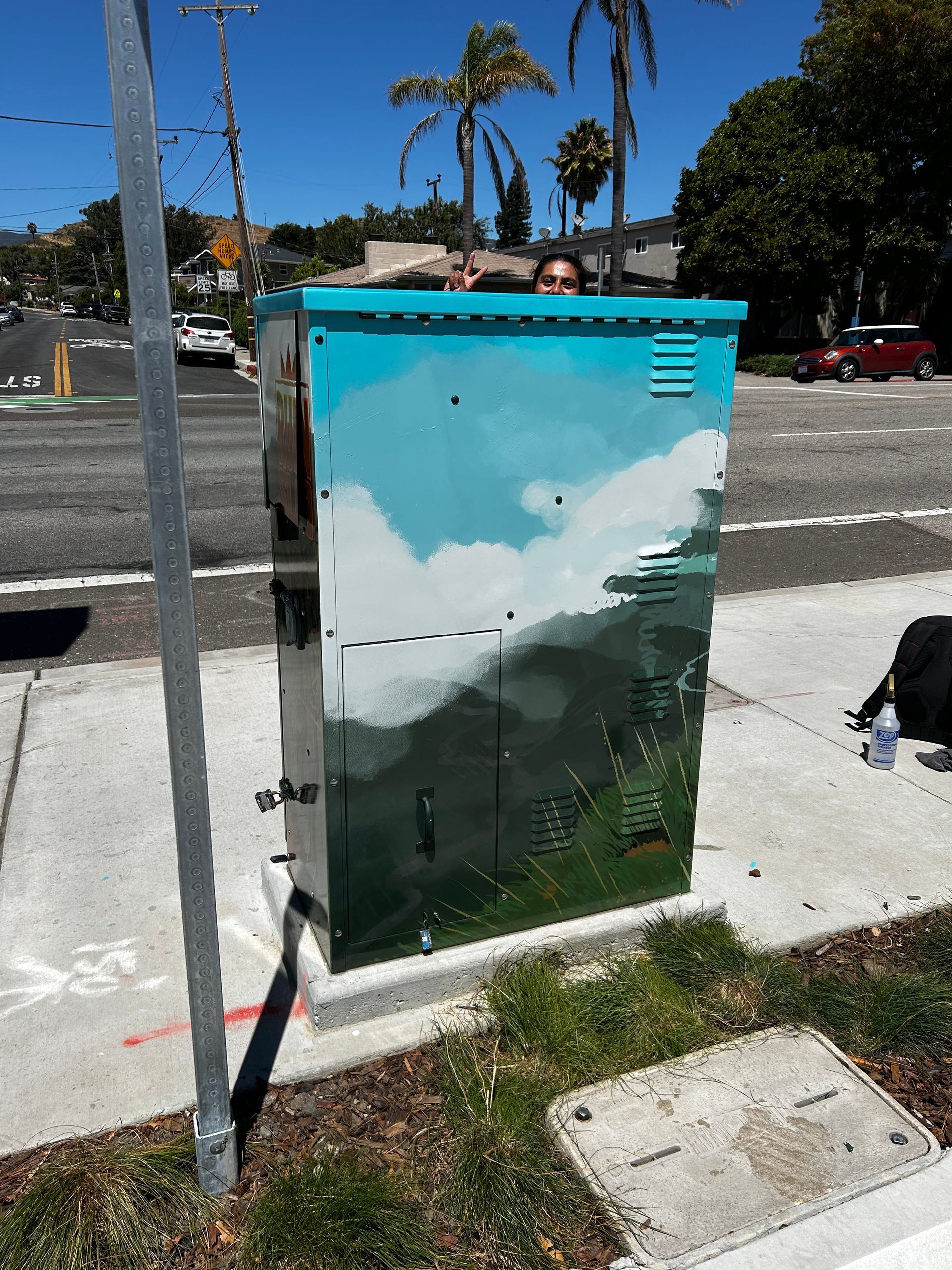 Graffiti-covered utility box on a sidewalk by a street, with palm trees and parked cars in the background